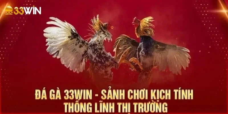 Đá gà trực tuyến - Sân Chơi Đỉnh Cao Cho Người Đam Mê