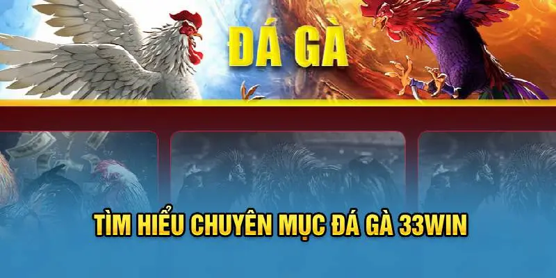 Chinh phục đá gà trực tiếp 24/7 cùng một vài bí quyết hay