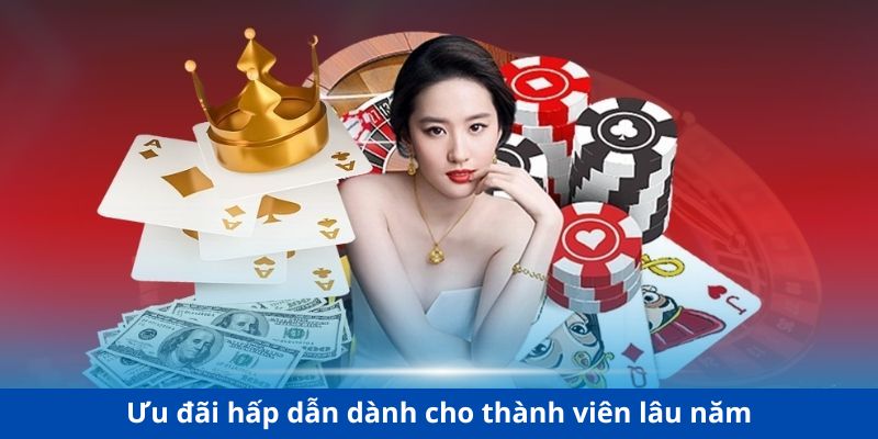 Sự kiện thưởng độc đáo cho khách hàng trung thành